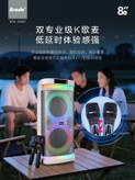 اسپیکر حرفهای برودو مدل BTS 2407 با رقص نور RGB