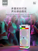 اسپیکر حرفهای برودو مدل BTS 2407 با رقص نور RGB