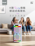 اسپیکر حرفهای برودو مدل BTS 2407 با رقص نور RGB