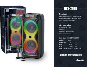 اسپیکر بلوتوثی برودو مدل BTS 2109
