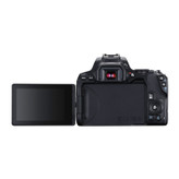 دوربین عکاسی کانن Canon EOS 250D Kit EF-S 18-55 mm f/3.5-5.6 III